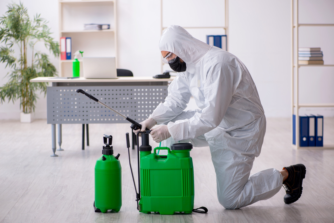 Обработка от клещей: пример работ